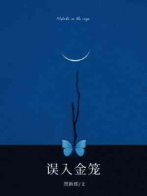 误入豪门橙光小说