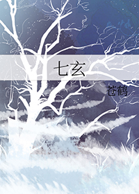 七玄草多少钱一斤