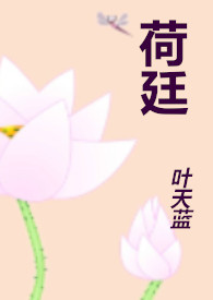 荷兰vs英格兰比分