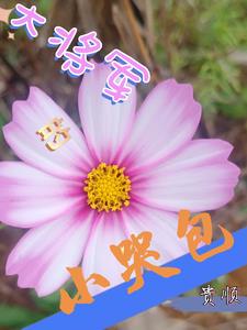 大将军的小娇娘免费阅读