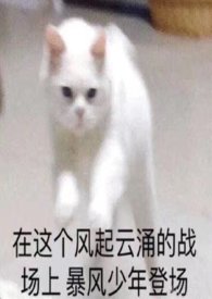 c位出道清冷帝姬制霸娱乐圈笔趣阁