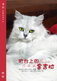 吧台上的圆角是怎么做的